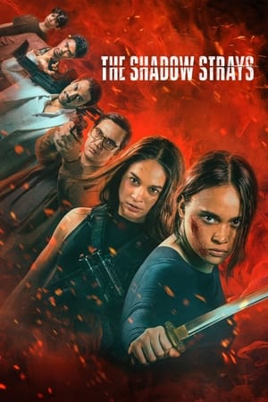 The Shadow Strays (Hindi) (2024)