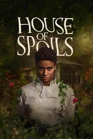 House of Spoils (Hindi) (2024)